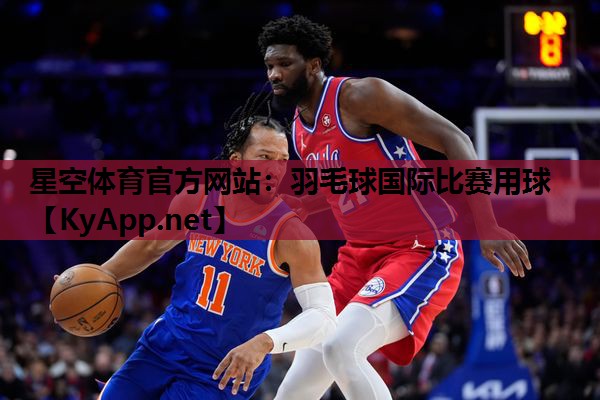 星空体育官方网站：羽毛球国际比赛用球