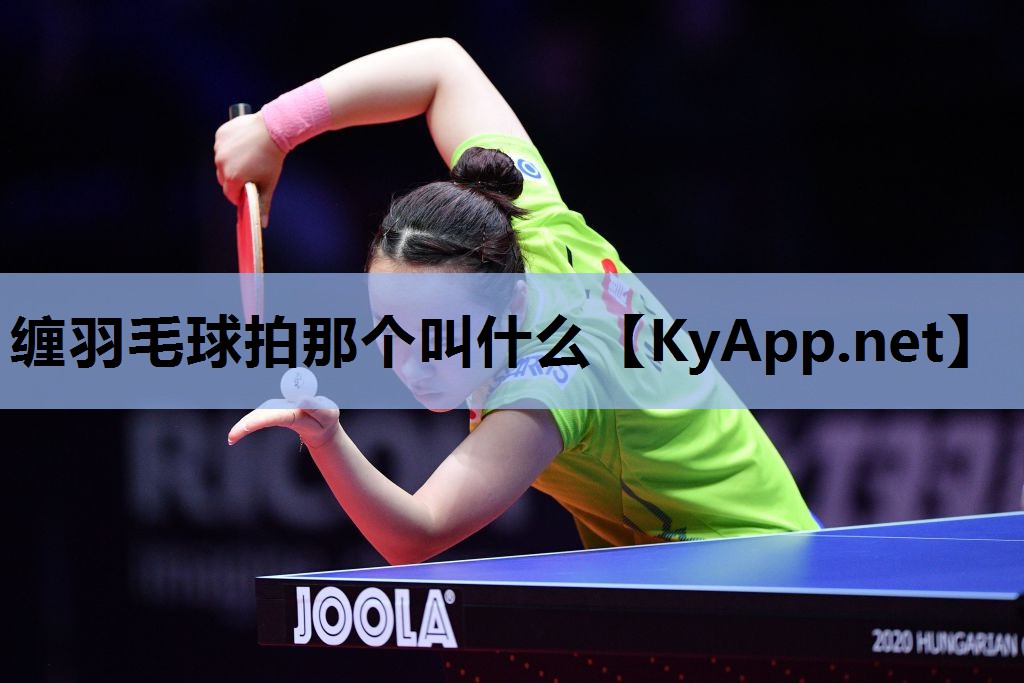 缠羽毛球拍那个叫什么