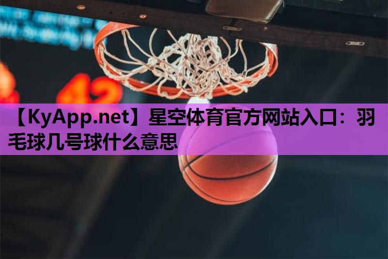 星空体育官方网站入口：羽毛球几号球什么意思