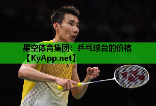 乒乓球台的价格 乒乓球台的价格