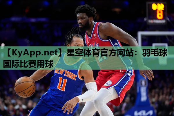 羽毛球国际比赛用球 羽毛球国际比赛用球