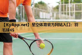 羽毛球45 羽毛球45