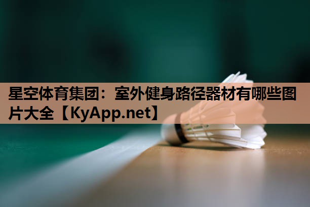 室外健身路径器材有哪些图片大全 室外健身路径器材有哪些图片大全