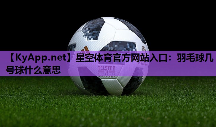 羽毛球几号球什么意思 羽毛球几号球什么意思