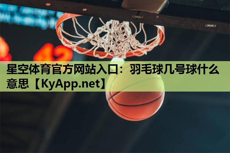 羽毛球几号球什么意思 羽毛球几号球什么意思